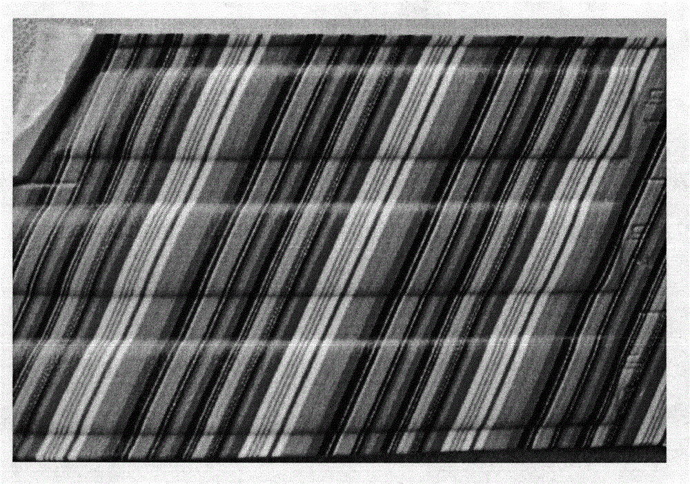 Method for processing digital color printing shoe material