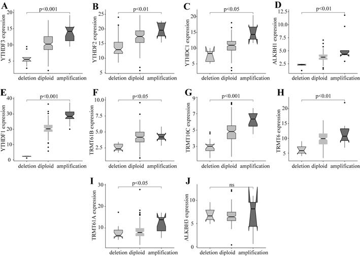 Gene marker for pancreatic cancer examination