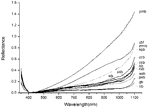 Method for tracing and identifying charcoal based on spectrum technology