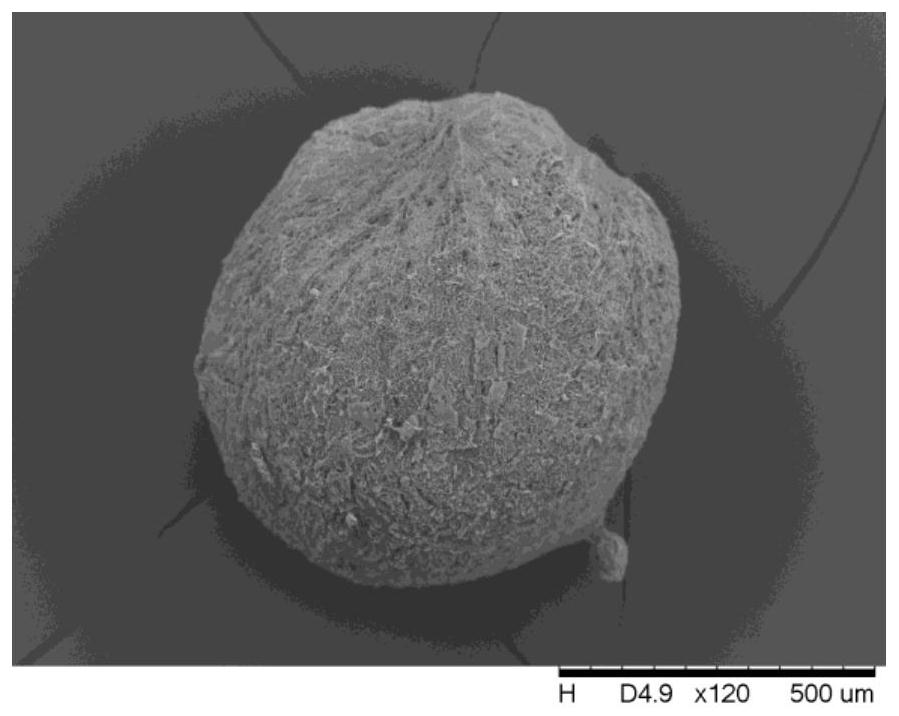 A kind of preparation method of o-vanillin spherical crystal