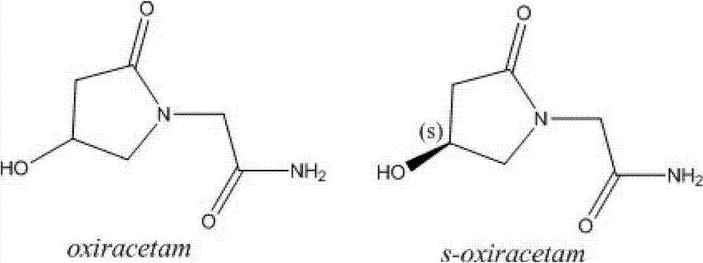 Sterile S-oxiracetam powder with good stability and preparation method thereof