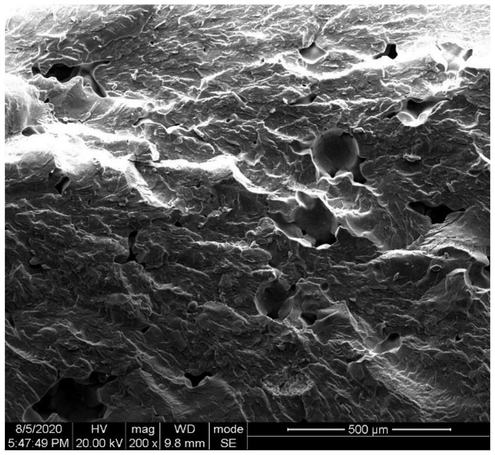 A through sls with scfco  <sub>2</sub> Combined method for preparing polymer-based piezoelectric foam parts