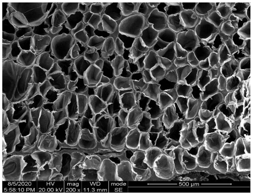 A through sls with scfco  <sub>2</sub> Combined method for preparing polymer-based piezoelectric foam parts