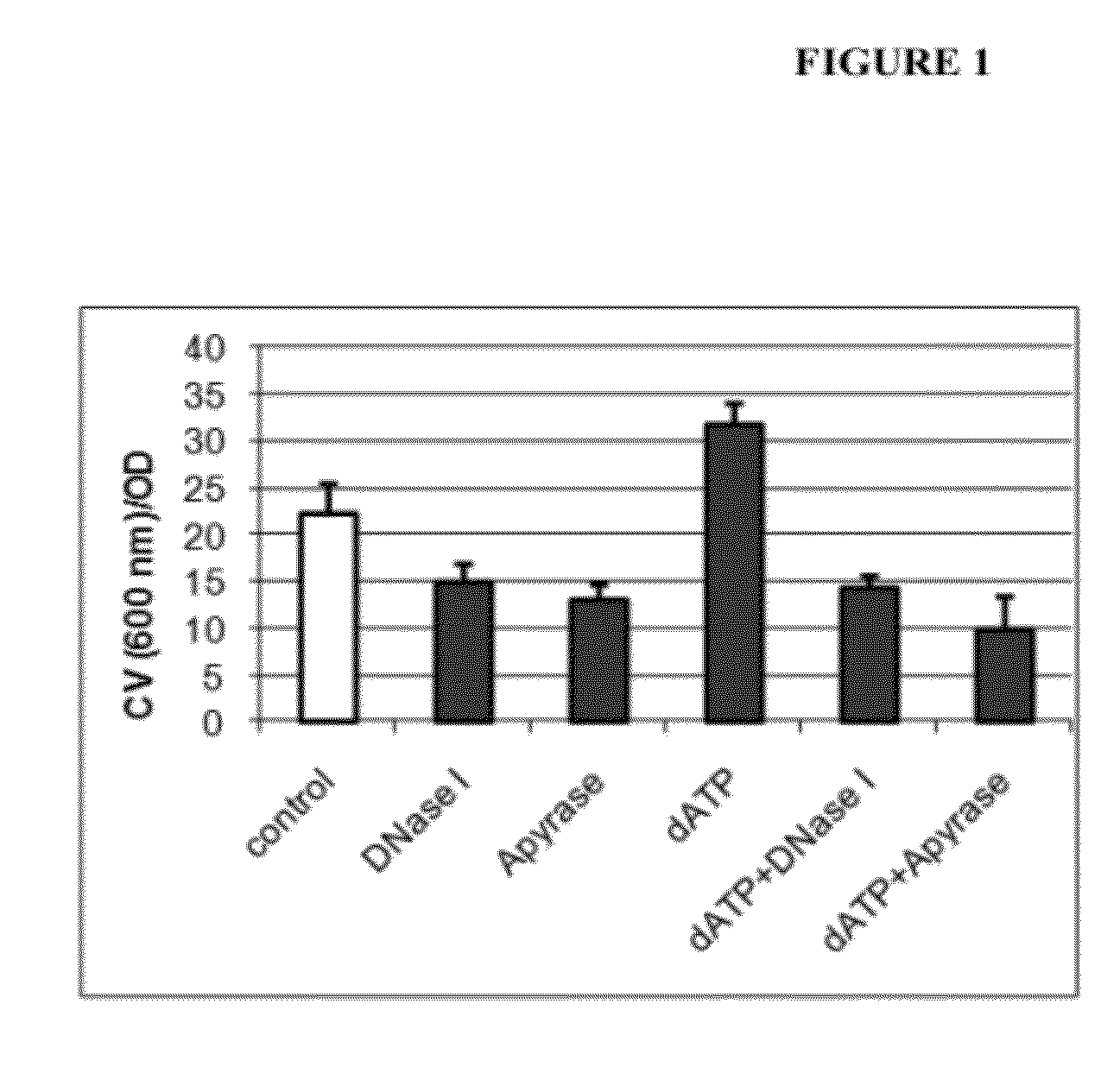 Control of biofilm formation