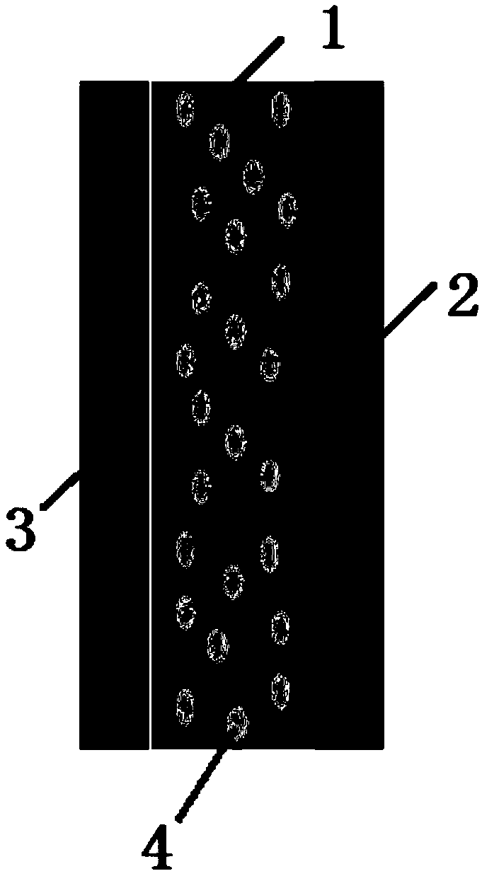 A composite solid electrolyte membrane and preparation method and application thereof
