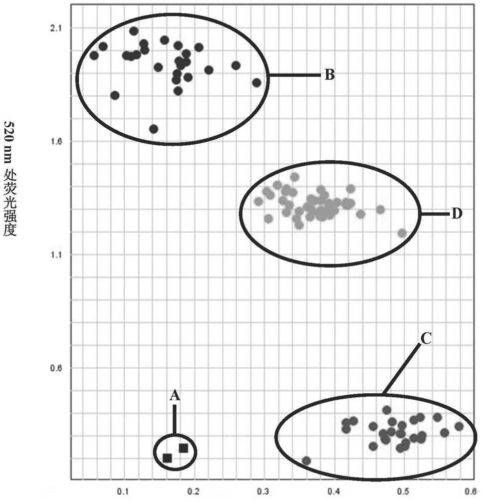 A kasp molecular marker method for identifying rice blast resistance gene pigm