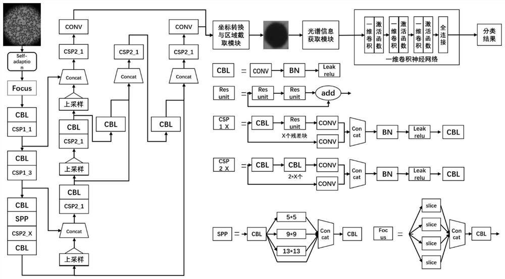 Heterotypic lymphocyte typing method based on YOLOv5 and microscopic hyperspectral image