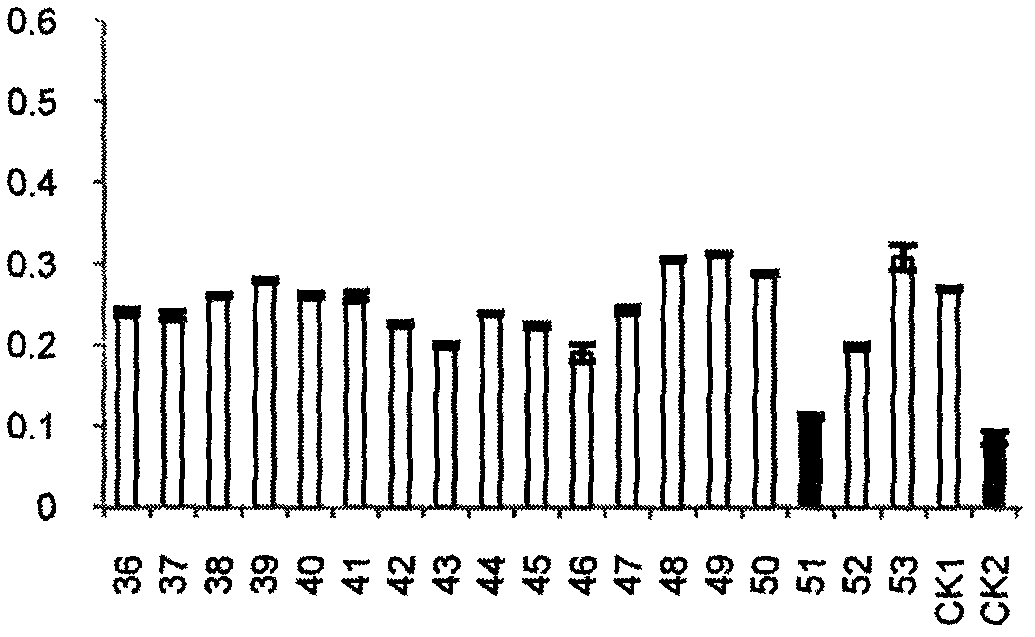 Target gene Rv0233 screened by antituberculous inhibitor and application