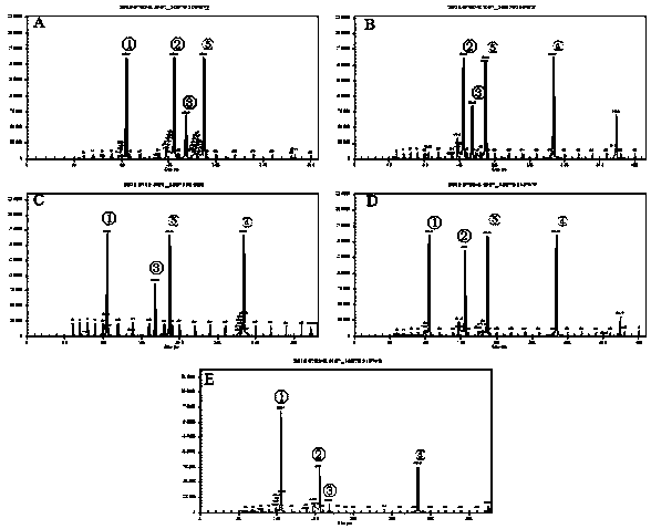 Composition for discriminating deer species through GeXP multiple PCR method, kit and method thereof