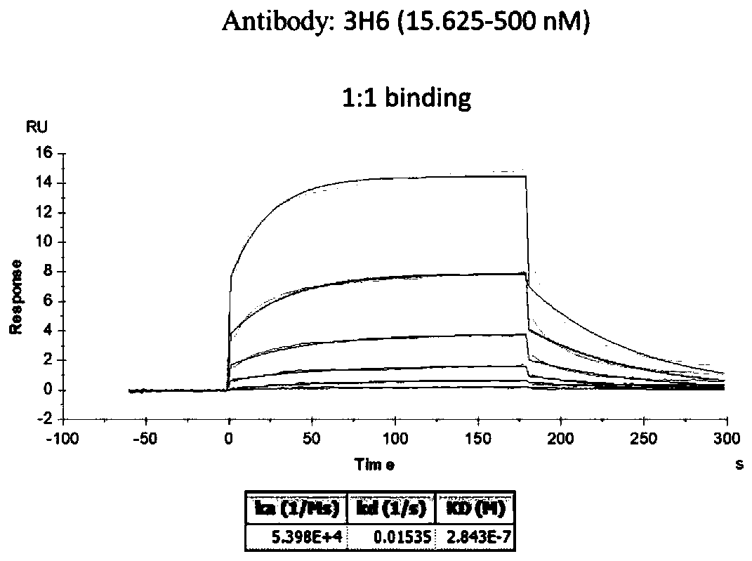 Anticancer embryo antigen antibody as well as preparation method and application thereof
