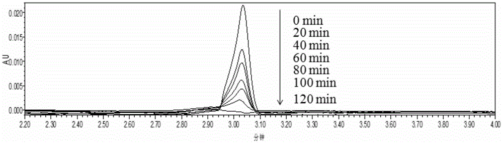 Heterogeneous electric Fenton system and preparation and application thereof