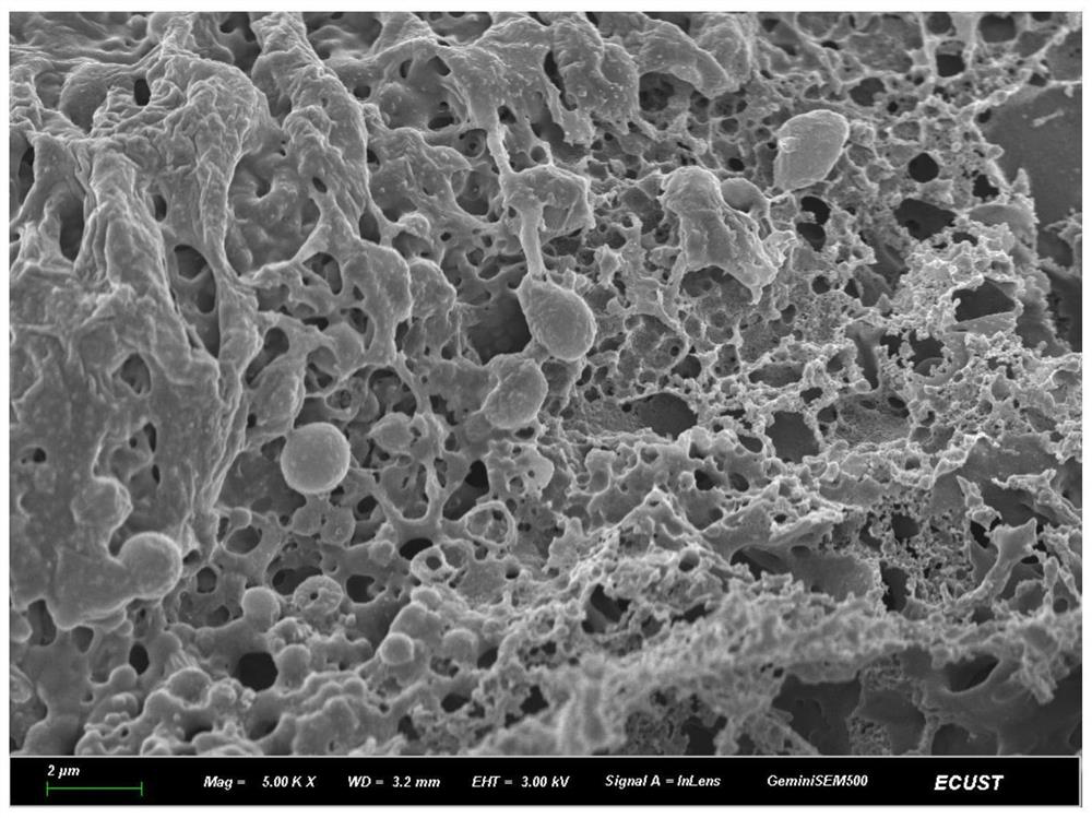 Fabric-based flexible supercapacitor and its manufacturing method