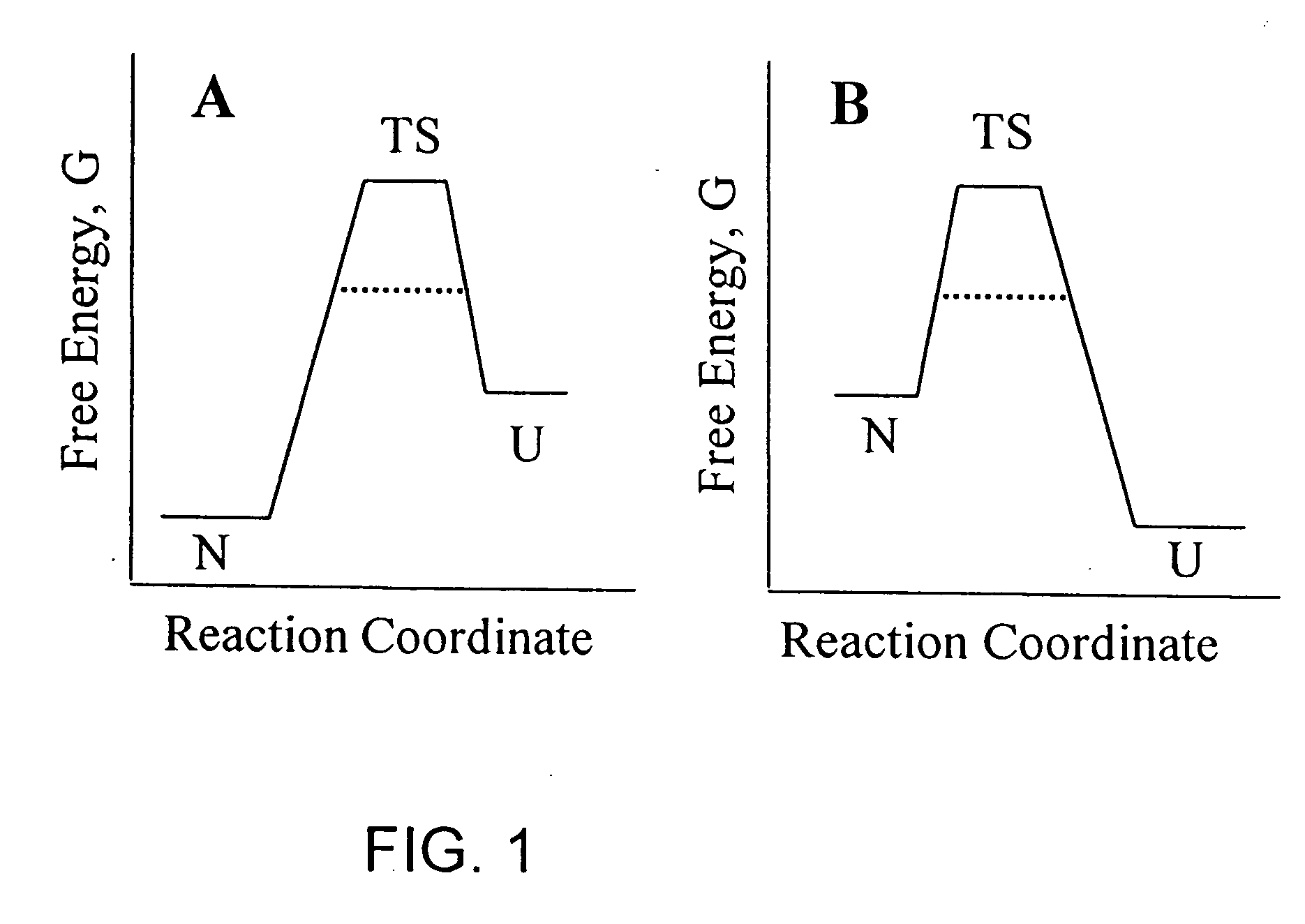 Methods of identifying kinetically stable proteins