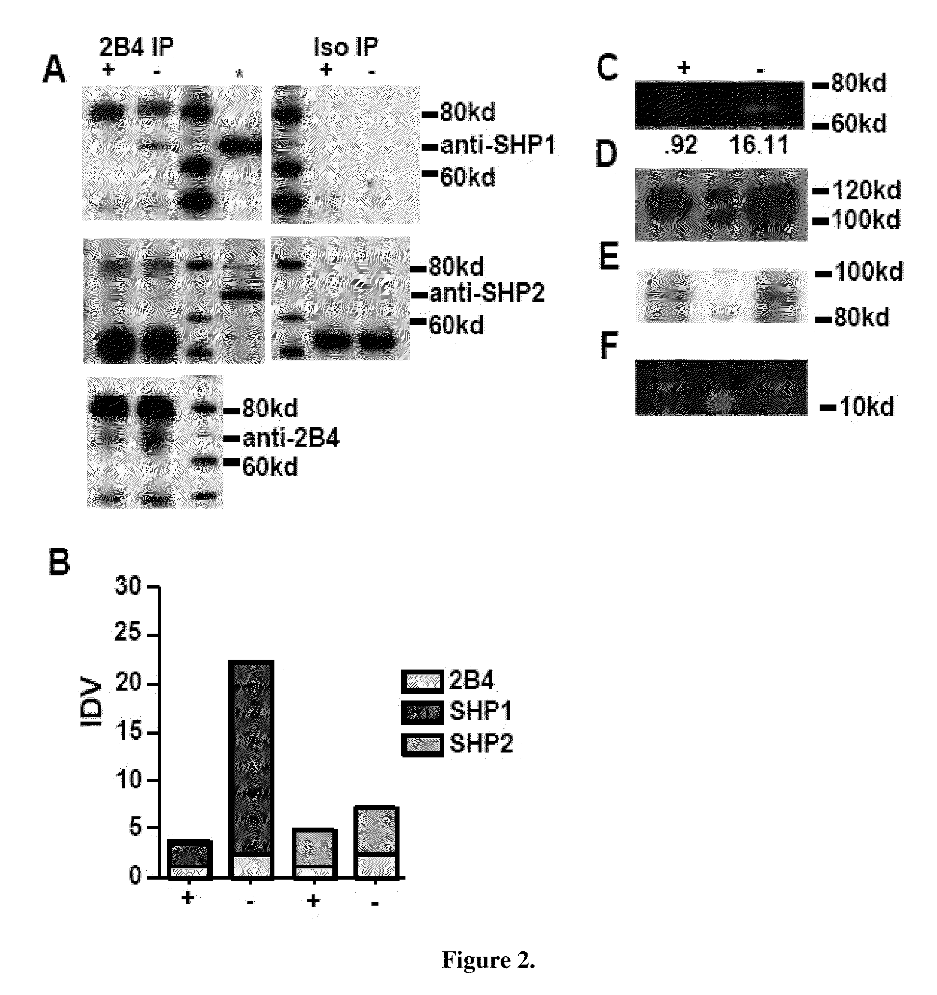Method of activating NK cells