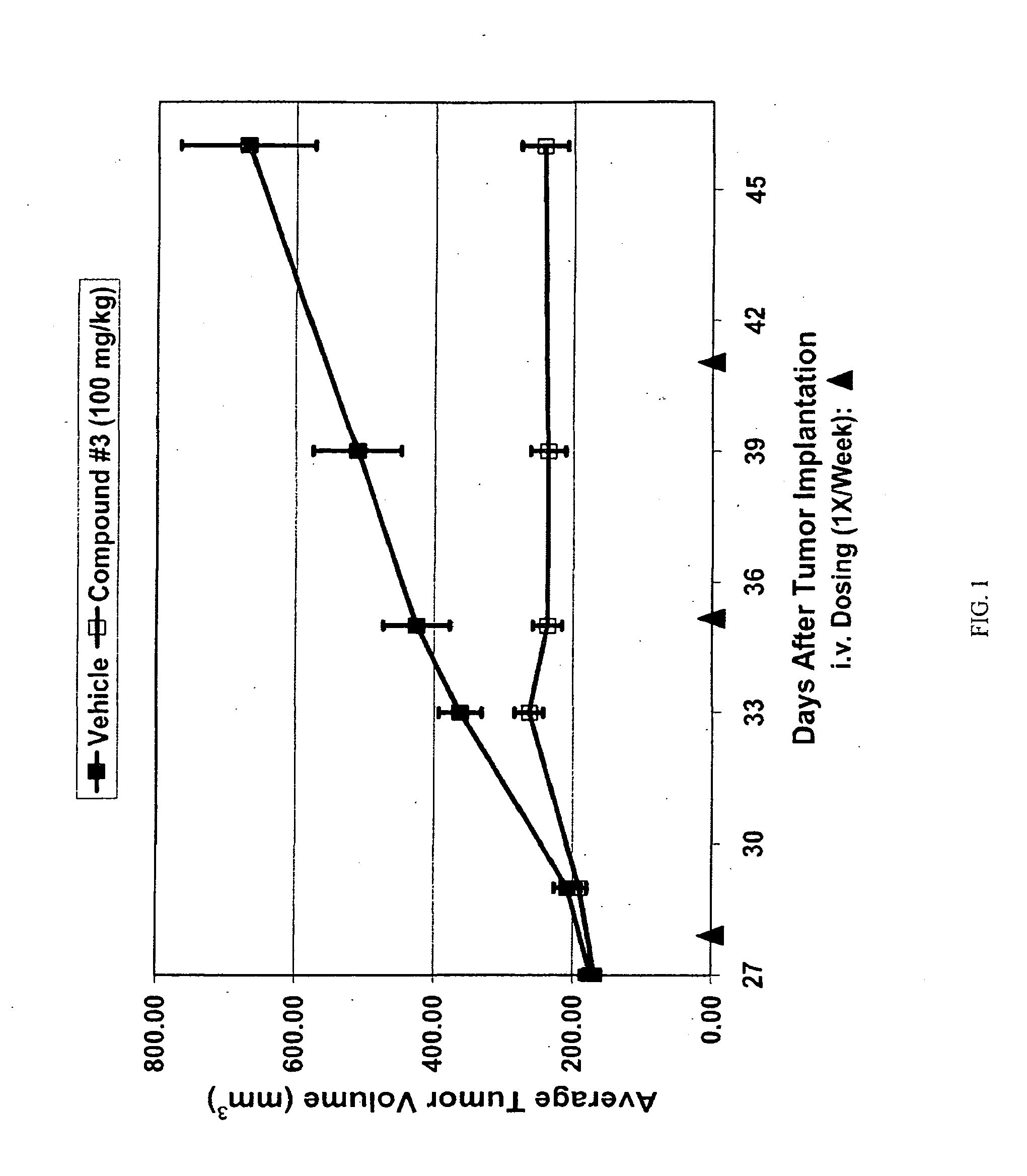 Triazole compounds that modulate hsp90 activity