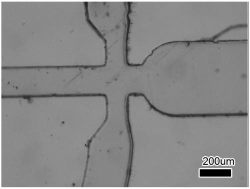 Sealing method of acrylic glass micro-fluidic chip