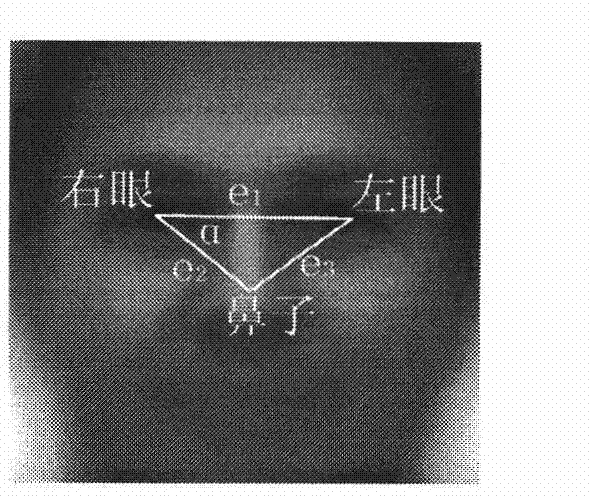 Image processing method for positioning eyes
