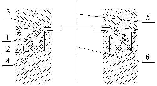 Elastic sealing ring and circular-arc slide sealing device