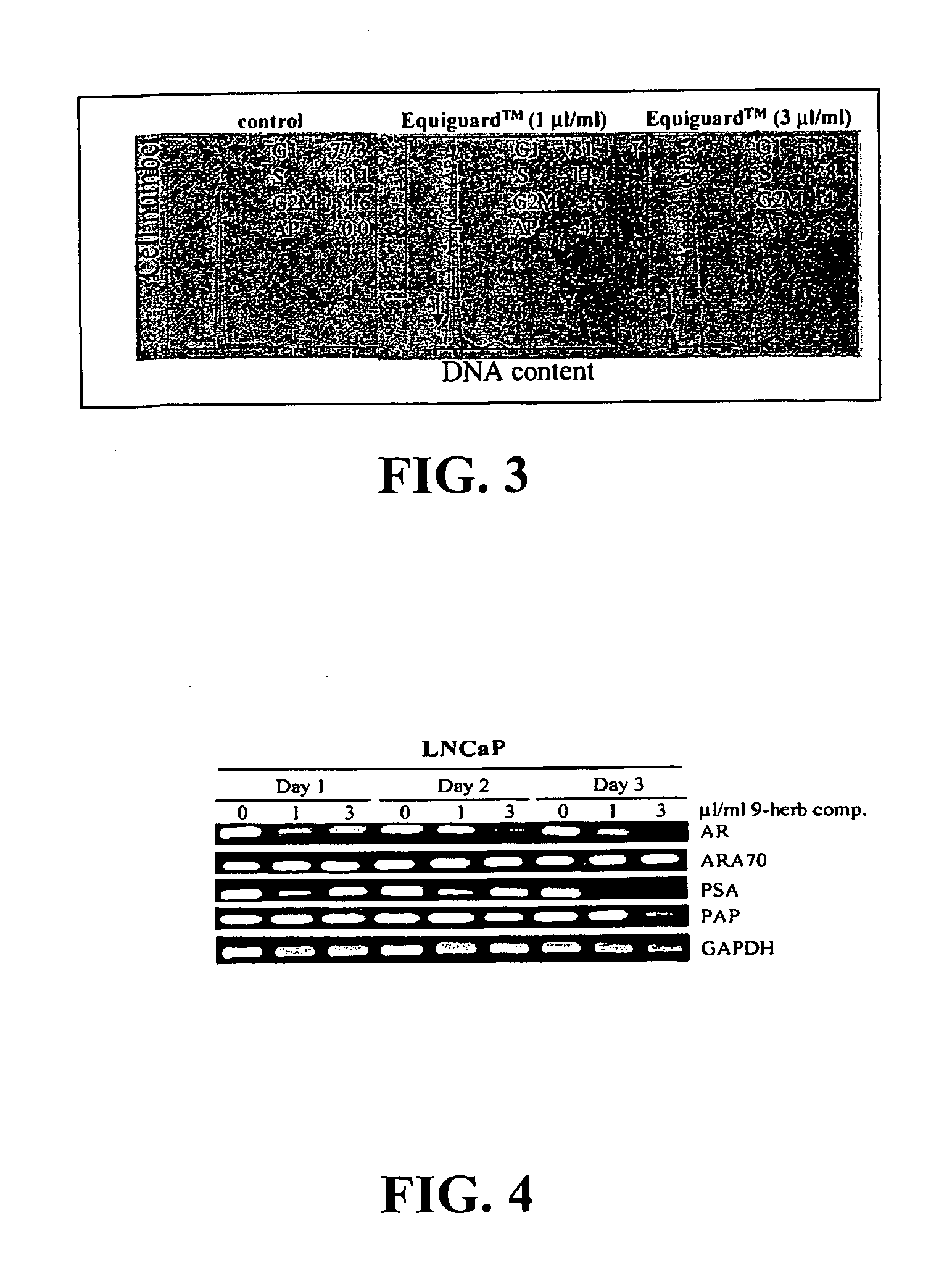 Compositions and methods for prostate and kidney health and disorders, an herbal preparation