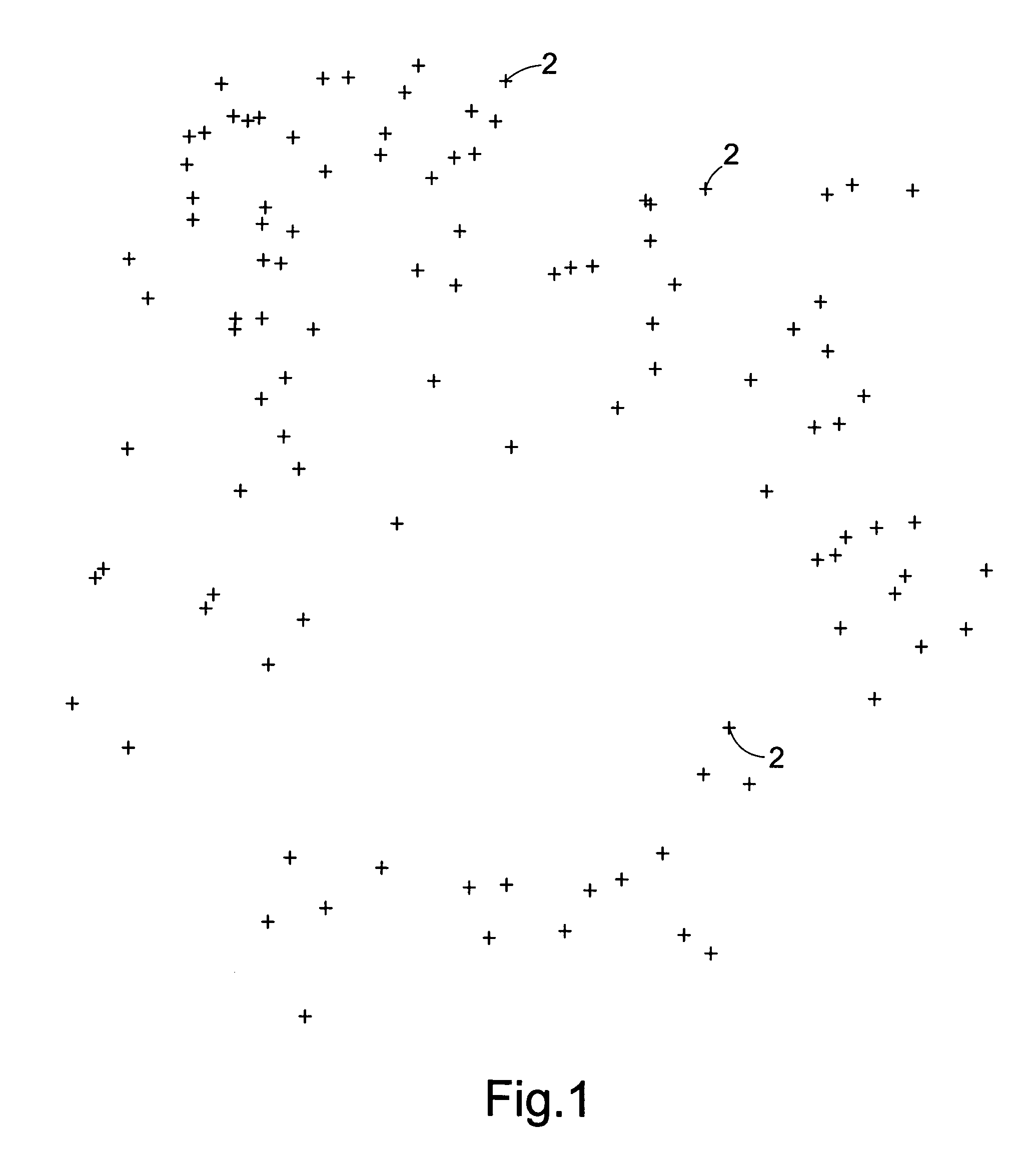 Method of and apparatus for generating a model of a cardiac surface having a plurality of images representing electrogram voltages