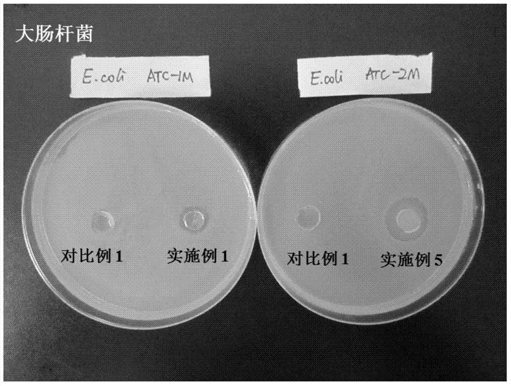 High-strength antimicrobial nanometer composite cation double-network hydrogel and preparation method thereof