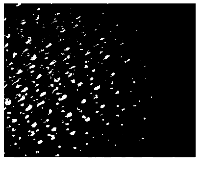 Light reflector and preparation method thereof