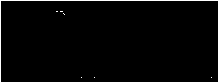 Aerobic granular sludge enhanced start-up and stable operation method