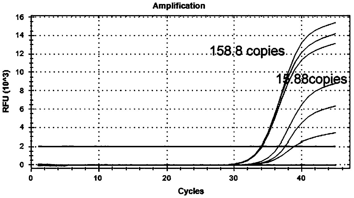Virus lysis reaction solution suitable for rapid direct expansion PCR detection