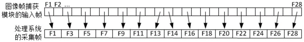 Carotid artery three-dimensional image construction device