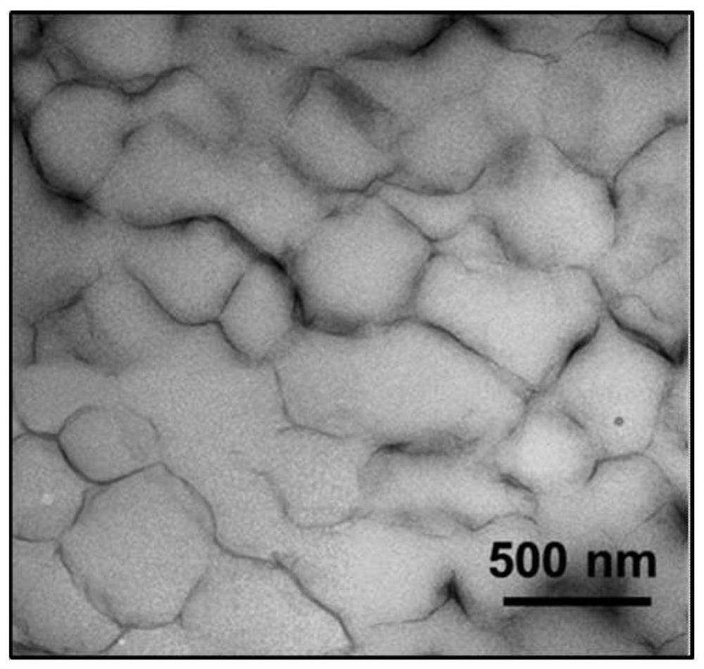 Interface supramolecular reinforced nano composite material and preparation method thereof