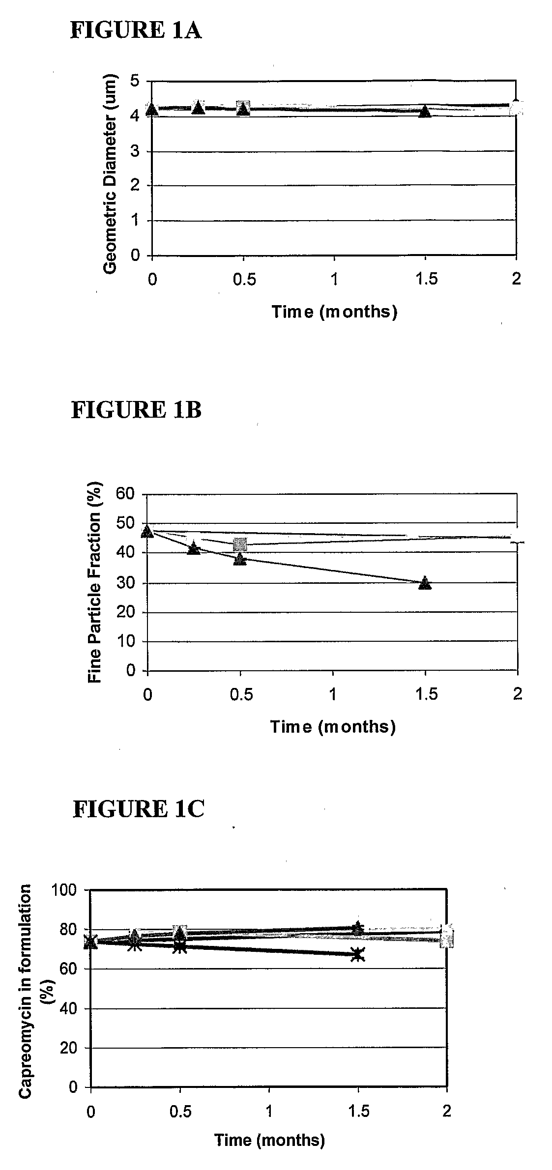 Particles for Treatment of Pulmonary Infection
