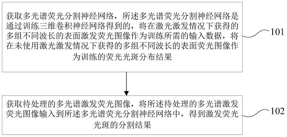 Multispectral fluorescence segmentation method and device