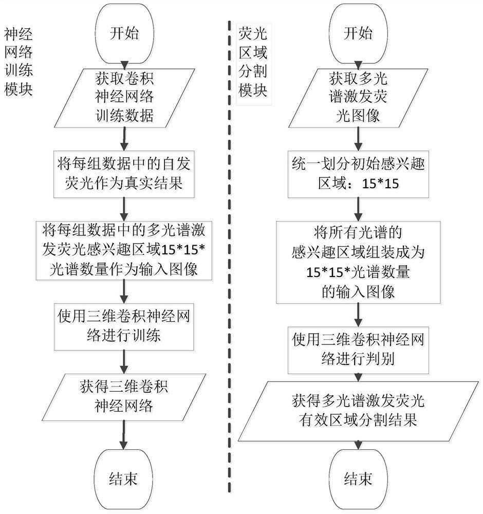 Multispectral fluorescence segmentation method and device