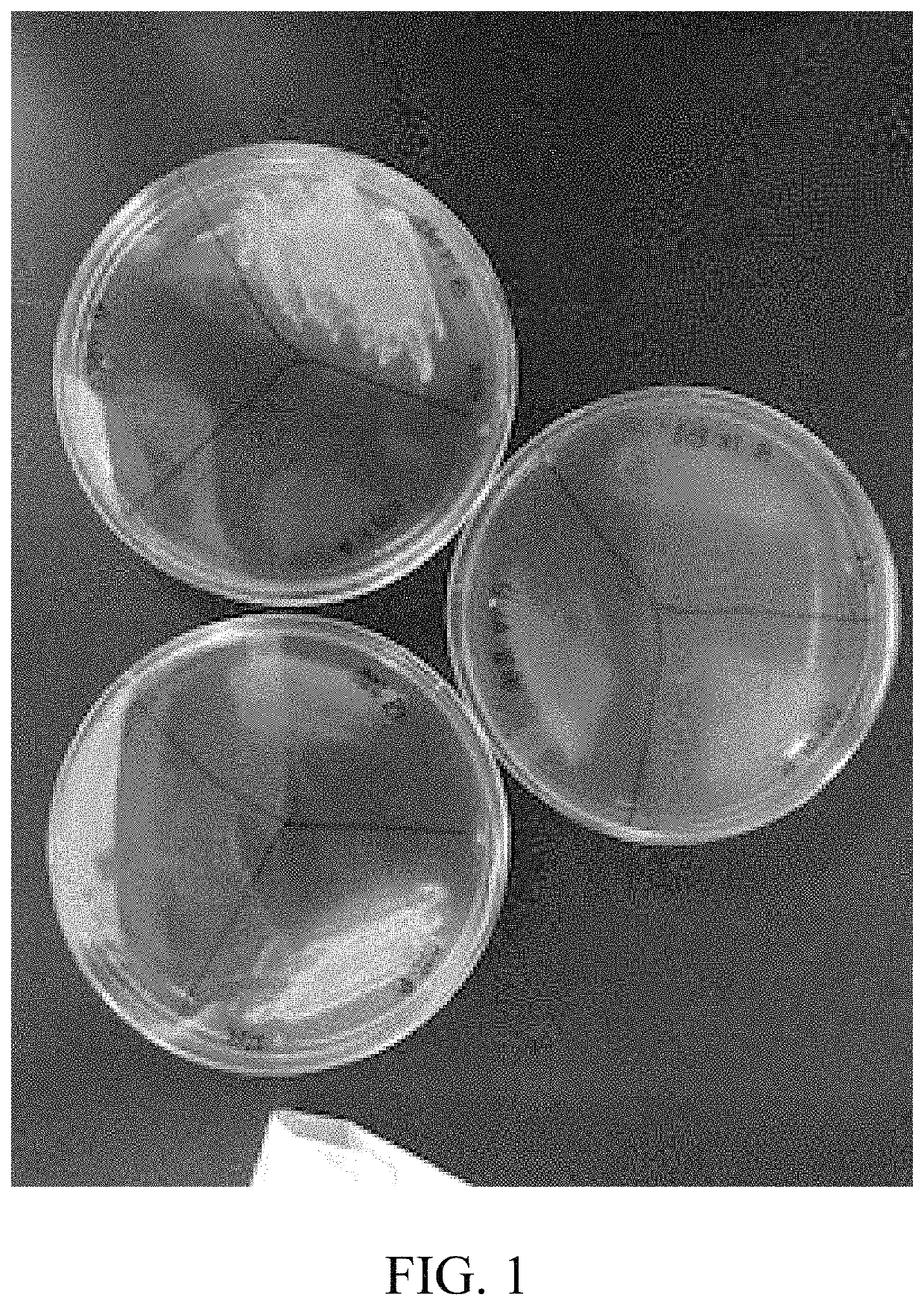 Compositions and methods for preventing, slowing, and reversing skin aging