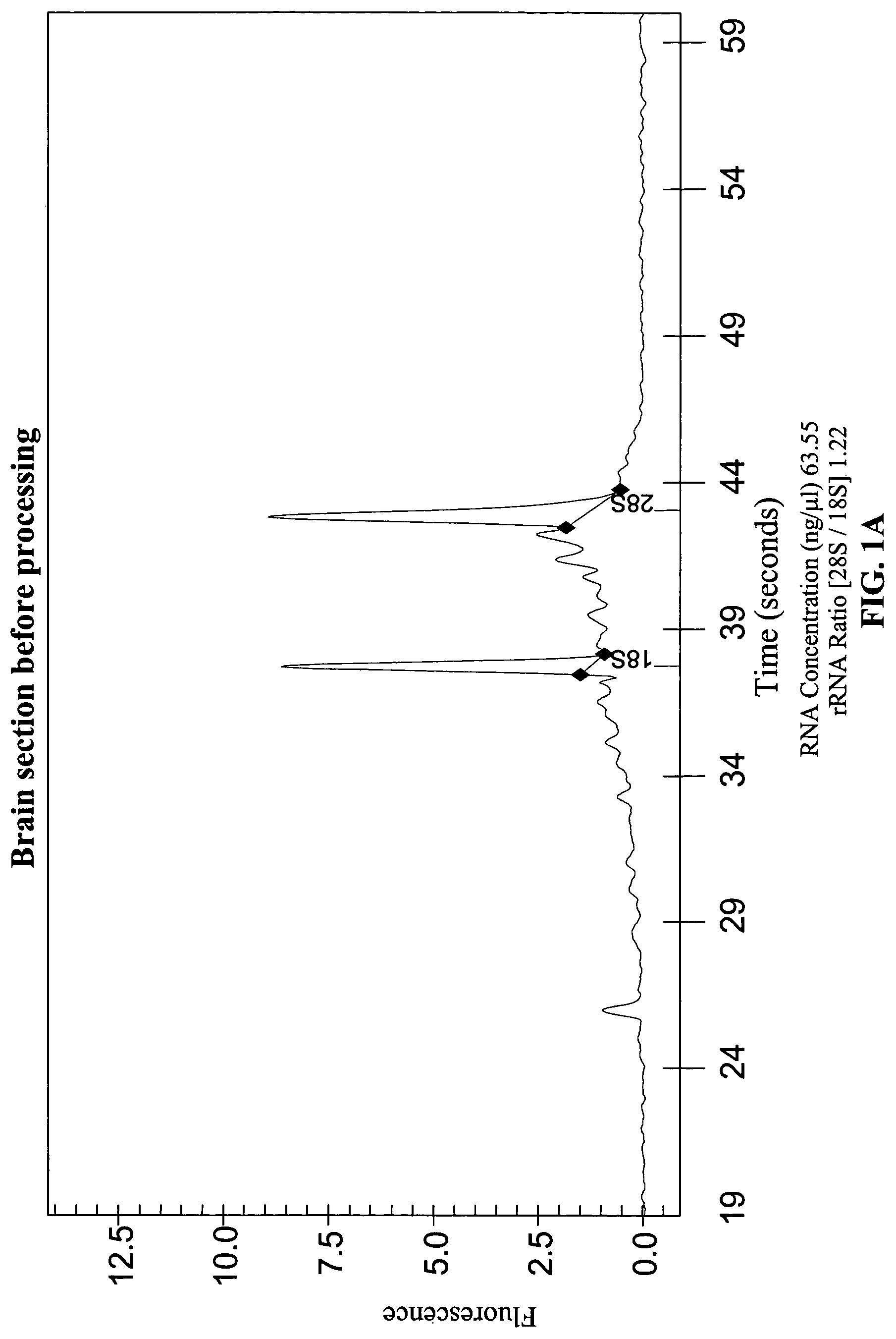 Methods and compositions for preparing tissue samples for RNA extraction