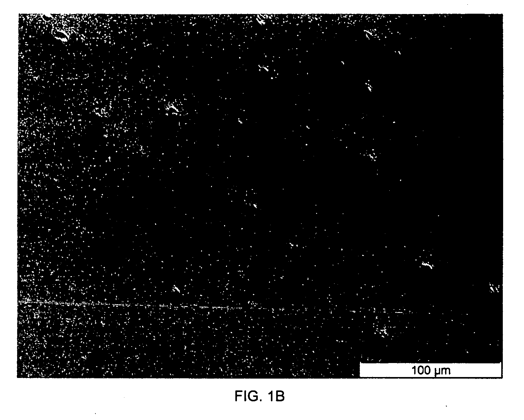 Microparticle containing silicone release coatings having improved anti-block and release properties