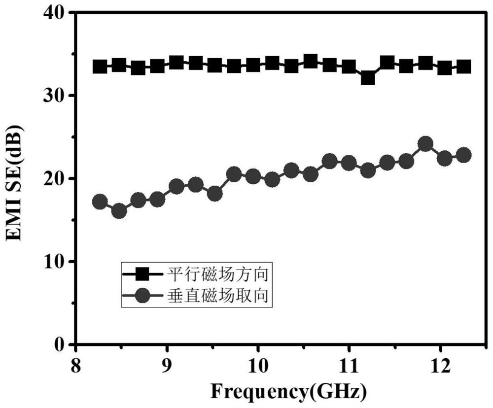 Electromagnetic shielding composite foam with oriented filler structure and preparation method thereof