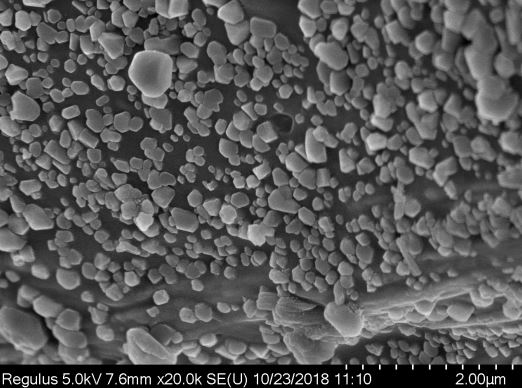 Bovine serum albumin-nano-silver modified chitosan nano-drug delivery system and preparation method thereof