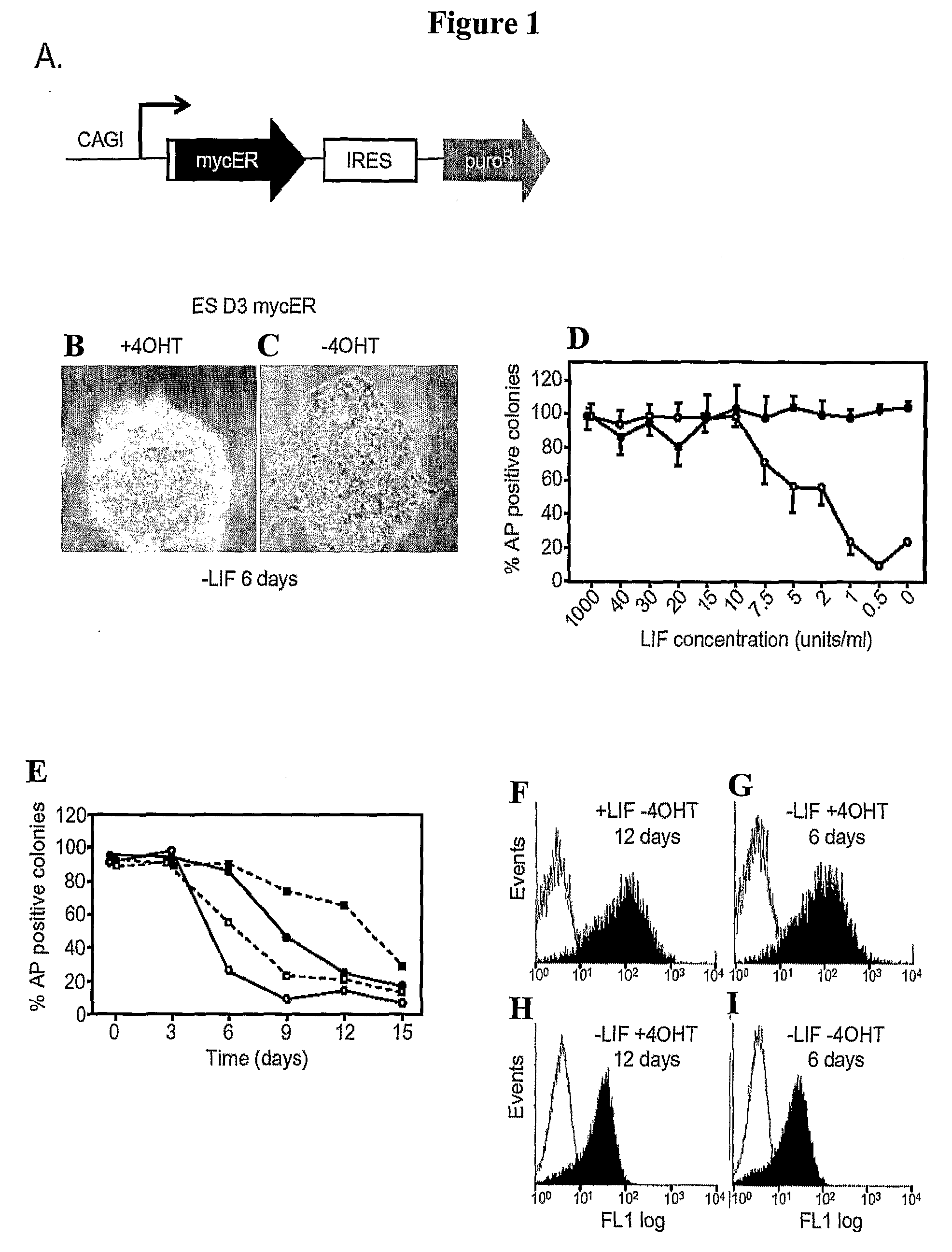 Methods and Compositions Utilizing Myc and Gsk3Beta to Manipulate the Pluripotency of Embryonic Stem Cells