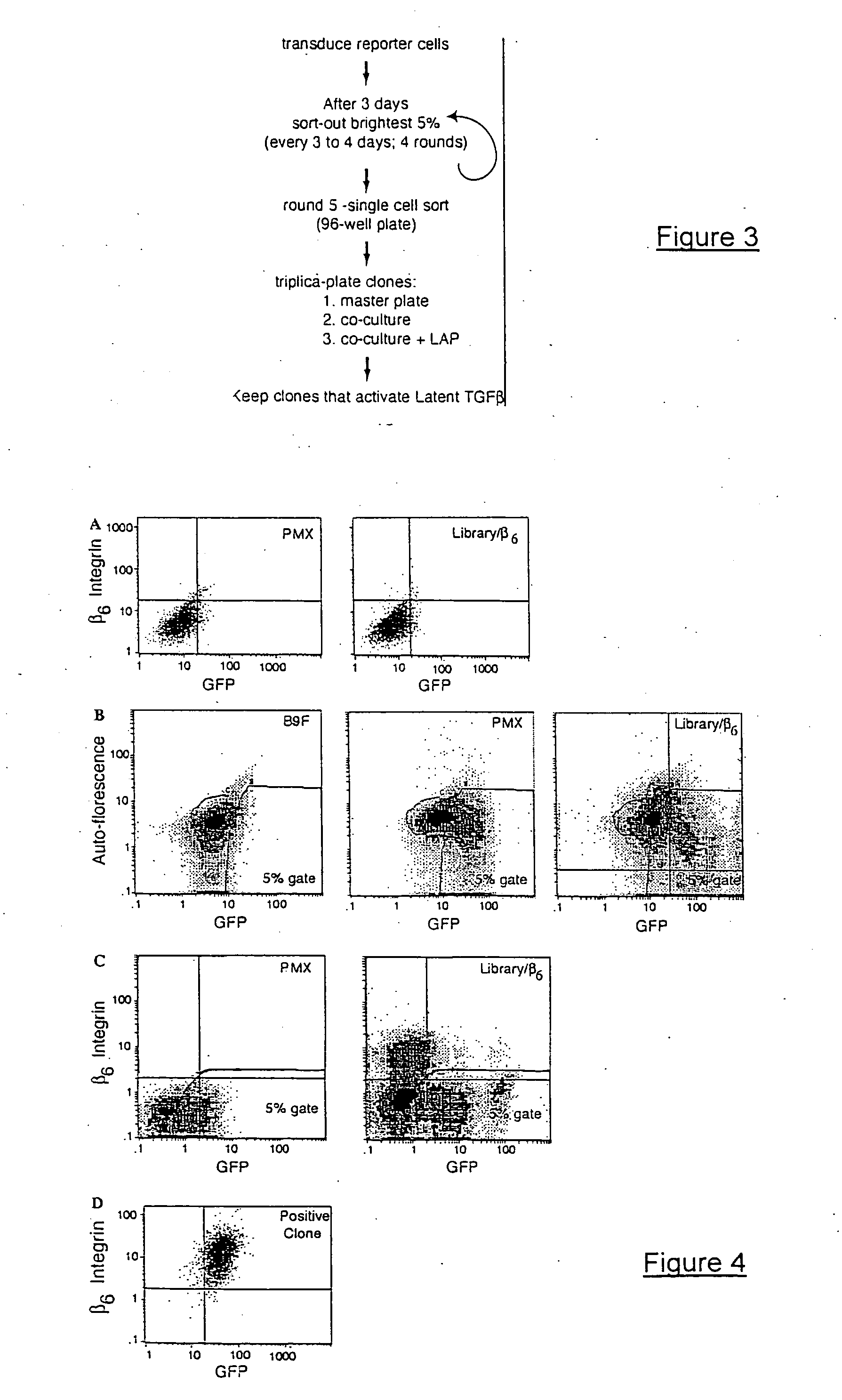 Genetic screen for bioactive peptides