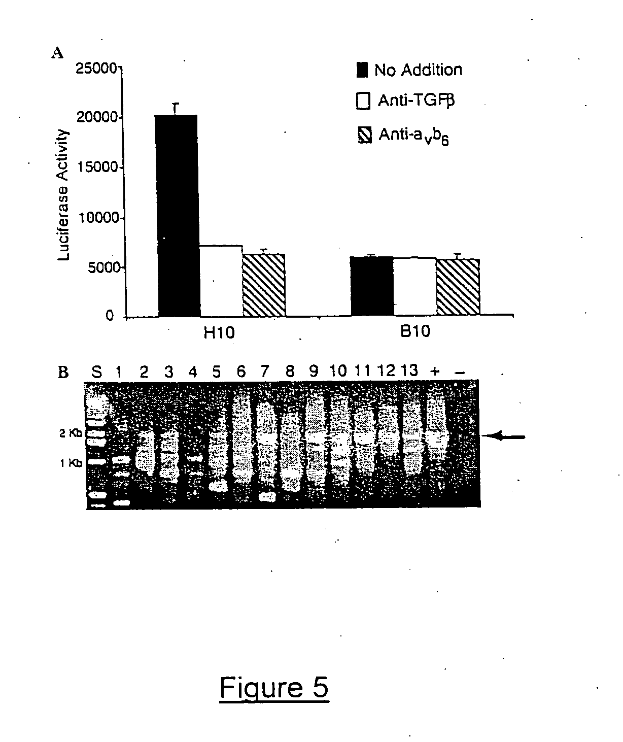 Genetic screen for bioactive peptides