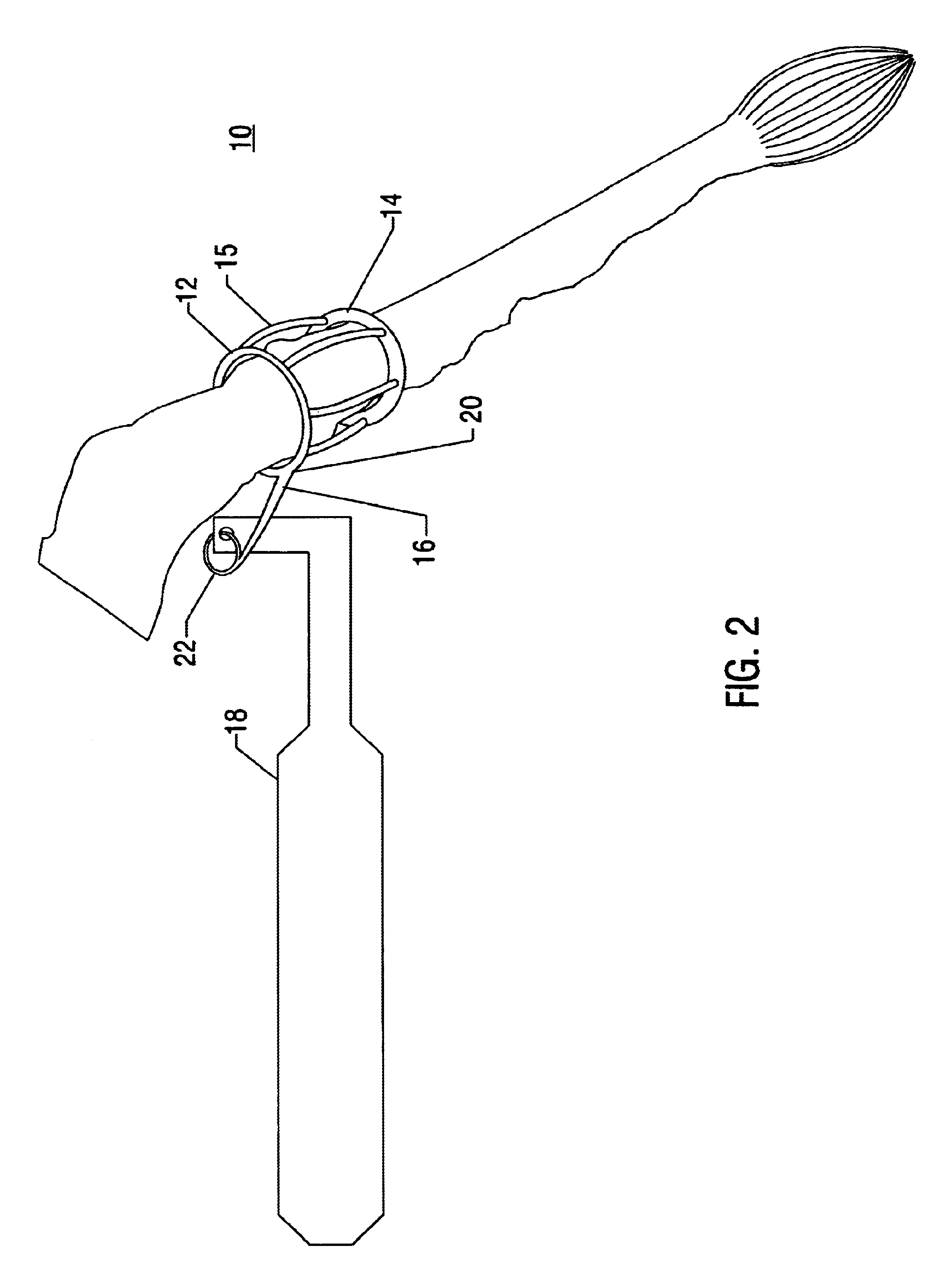Intravaginal retention device for a tailed animal