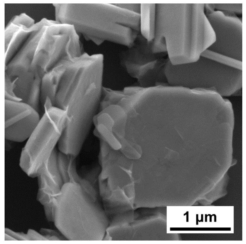 Tin sulfide@niobium disulfide (SnS@NbS2) core-shell heterojunction and preparation method and application thereof