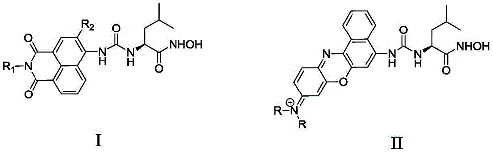 APN inhibitor with fluorescent property and application thereof