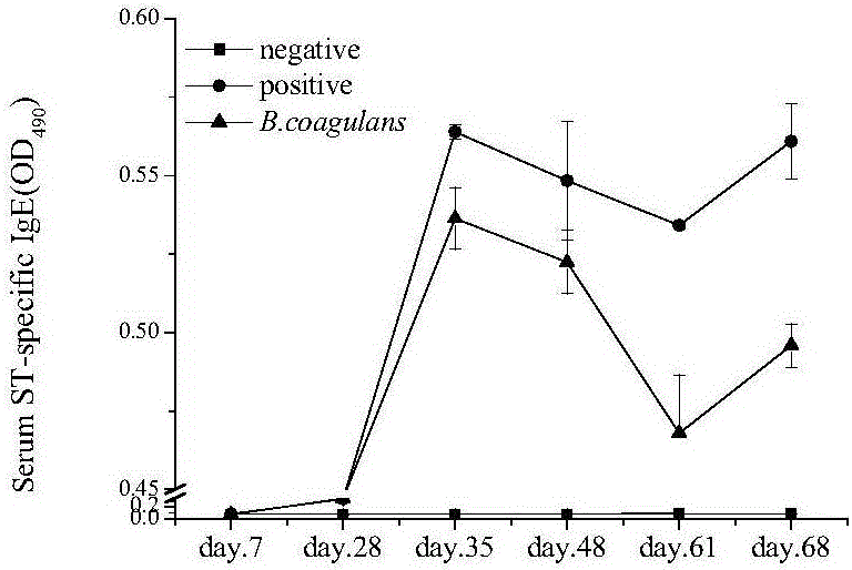Application of bacillus coagulans to preparation of medicine or food for preventing and/or treating anaphylactic reaction