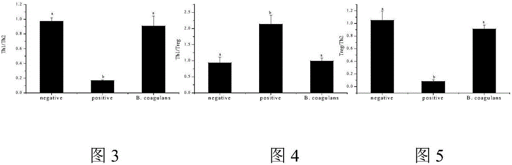 Application of bacillus coagulans to preparation of medicine or food for preventing and/or treating anaphylactic reaction