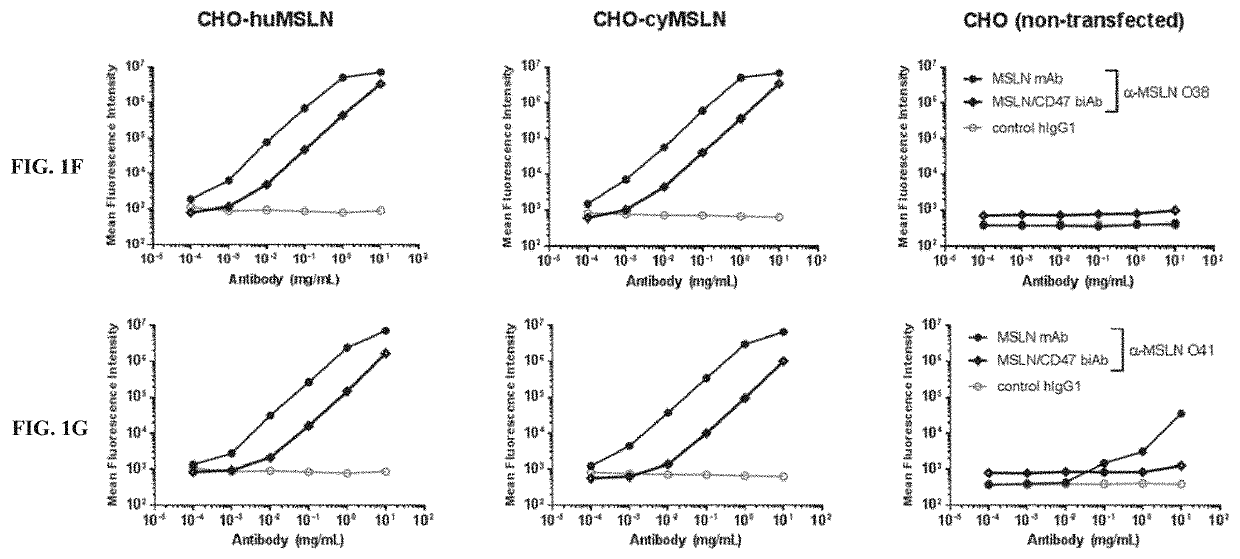 Anti-CD47 x anti-mesothelin antibodies and methods of use thereof