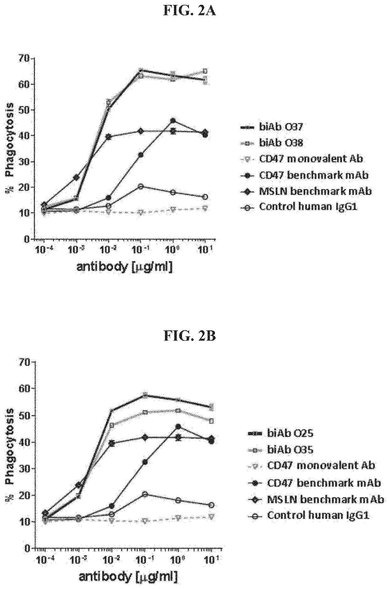 Anti-CD47 x anti-mesothelin antibodies and methods of use thereof