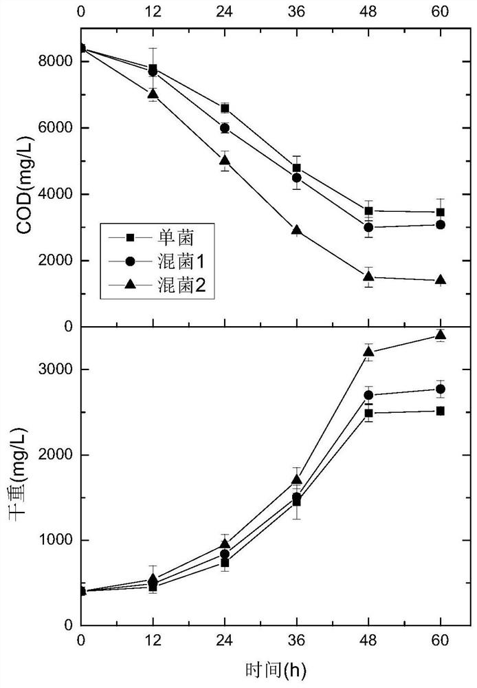 Method for utilizing graphene quantum dots to recycle waste water