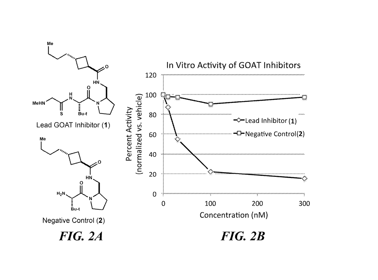 Small lipopeptidomimetic inhibitors of ghrelin o-acyl transferase